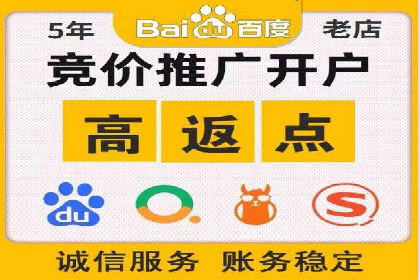 搜索开户返点政策下的成功案例分析